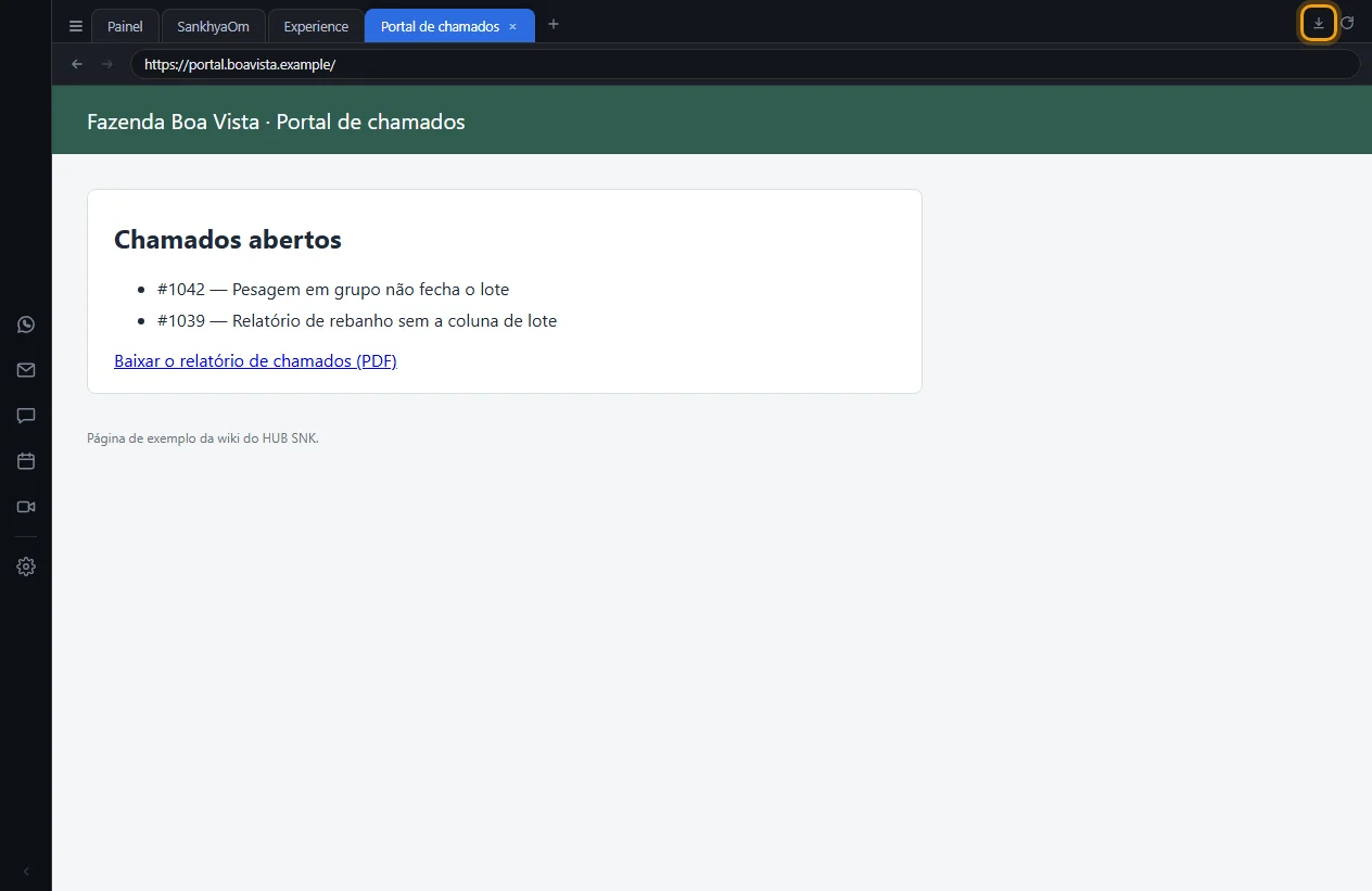 Botão Downloads destacado no canto direito da barra
