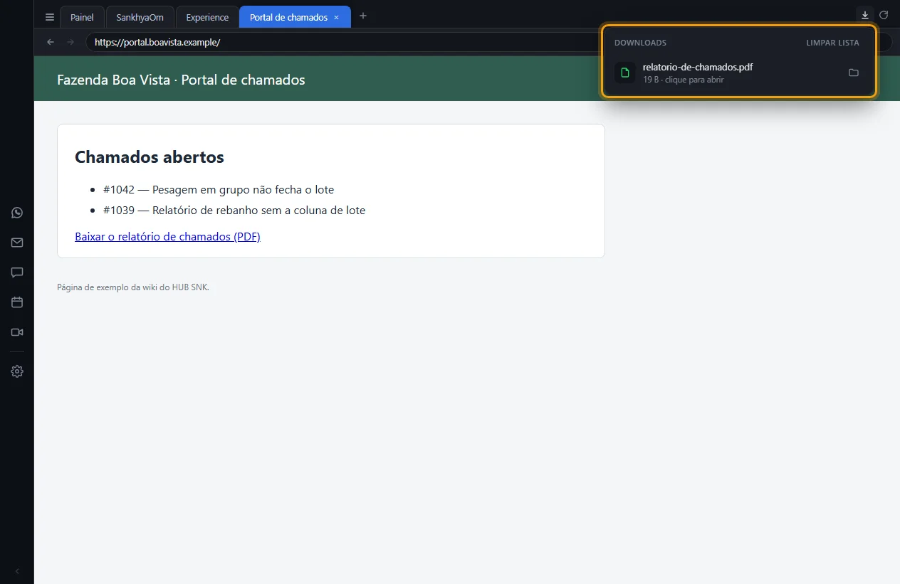 Lista de downloads com um PDF baixado