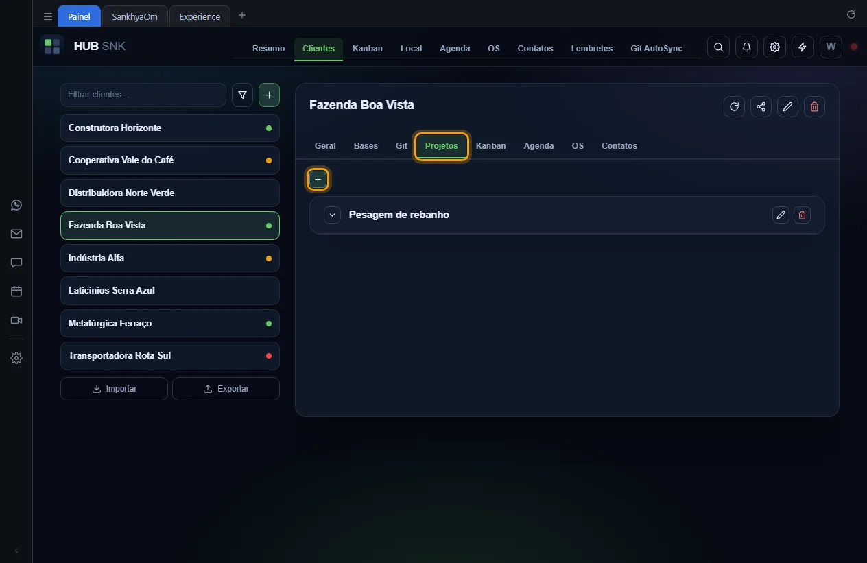 Aba Projetos e botão + de adicionar projeto destacados