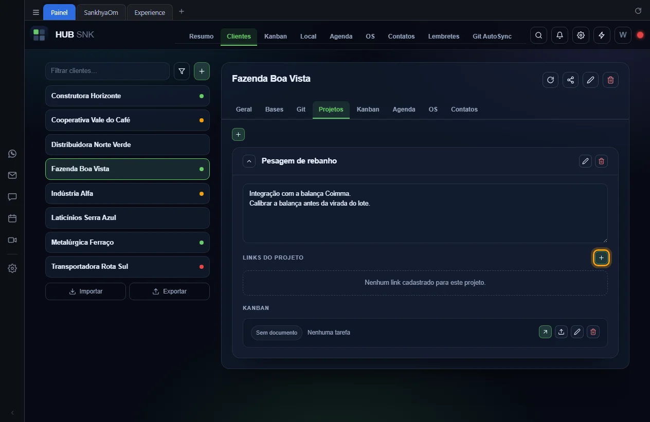 Botão + de adicionar link destacado em Links do projeto